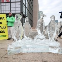 Skulpture pingvina od leda postavljene ispred NSK u sklopu kampanje za zaštitu oceana