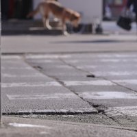 Zagreb: Nepoznati bijeli prah pojavio se na nekoliko lokacija kod tržnice Prečko