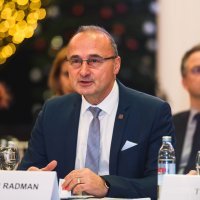 Gordan Grlić Radman