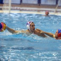 Vaterpolo: Hrvatska - Nizozemska, utakmica Svjetske lige
