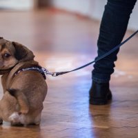 Tvoj, moj, naš Jadran