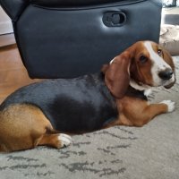 Nokia 6.2 - primjeri fotografija