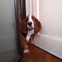 Nokia 6.2 - primjeri fotografija