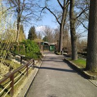 Nokia 7.2 - primjeri fotografija