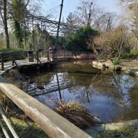 Nokia 7.2 - primjeri fotografija