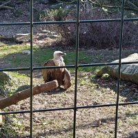 Nokia 7.2 - primjeri fotografija