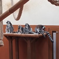 Nokia 7.2 - primjeri fotografija