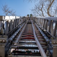 U Dubrovniku se zapalilo stablo staro 500 godina