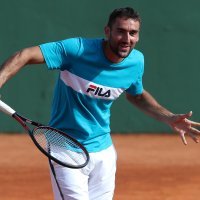 Marin Čilić