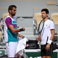 marin čilić novak đoković