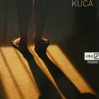 Ivica Ivanišević, Kuća, VBZ