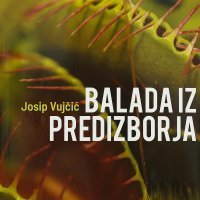 Josip Vujčić, Balada iz predizborja, VBZ