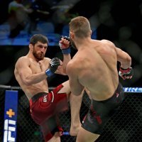 UFC Fight Night: Cutelaba - Ankalaev