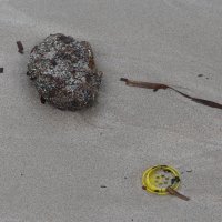 Plaža Sakarun u zimskom periodu