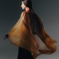 Branka Donassy: Retrospektiva