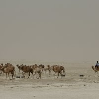 Nouakchott, Mauretanija