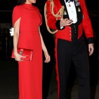 Princ Harry i Meghan Markle