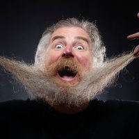 Jorkširski dan brade