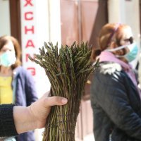 Split u doba koronavirusa