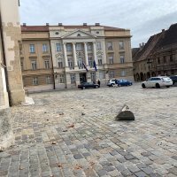 Oštećenja u Banskim dvorima