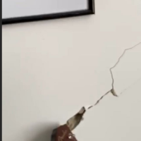 Nataša Janjić stan u centru Zagreba