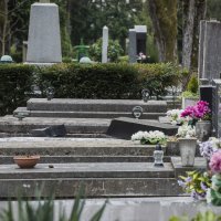 Štete od potresa na Mirogoju