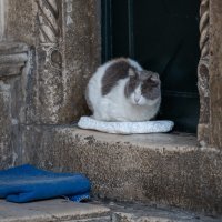 Život u Dubrovniku u vrijeme koronavirusa