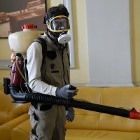 Rijeka: Dezinficiranje zajedničkih prostora u zgradi Jadrolinije