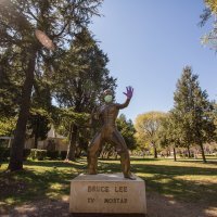 Mostar: Kip Brucea Leeja osvanuo sa zaštitnom maskom i rukavicama