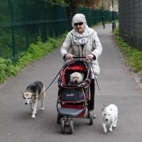 Koronavirus u Velikoj Britaniji