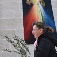 Šibenik: Građani dolaze po blagoslovljene maslinove grančice ispred crkve