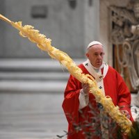 Papa Franjo predvodio svetu misu na Cvjetnicu u Vatikanu