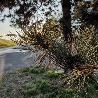 Huawei P40 Pro primjeri fotografija