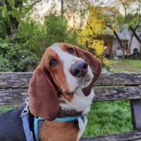 Huawei P40 Pro primjeri fotografija