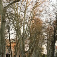Prazne zagrebačke ulice
