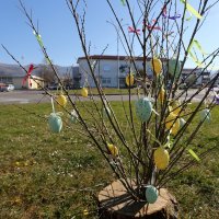 Pisanice u hrvatskim gradovima