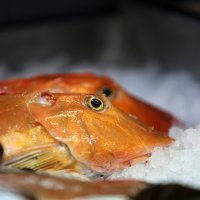 Ribarnice u Šibeniku