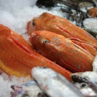 Ribarnice u Šibeniku