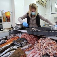 Ribarnice u Šibeniku