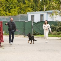 Ben Affleck i Ana de Armas