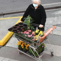 U Austriji otvoreni mali dućani i vrtni centri