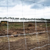 Buduća Tesla Gigafactory 4 pokraj Berlina