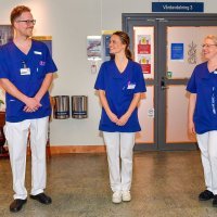 Švedska princeza Sofia