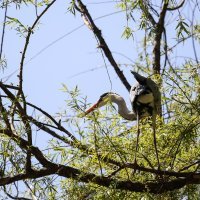 Građani iskoristili sunčanu i toplu subotu za boravak u parku Maksimir
