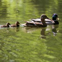 Građani iskoristili sunčanu i toplu subotu za boravak u parku Maksimir