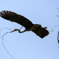 Građani iskoristili sunčanu i toplu subotu za boravak u parku Maksimir