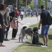 Zagreb: Sunčano i toplo vrijeme izmamilo brojne građane na Jarun