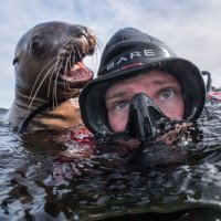 'Šaptačica morskim lavovima' Krystal Janicki