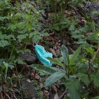 Tomislavov dom nakon što je bio korišten za karantenu