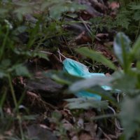 Tomislavov dom nakon što je bio korišten za karantenu